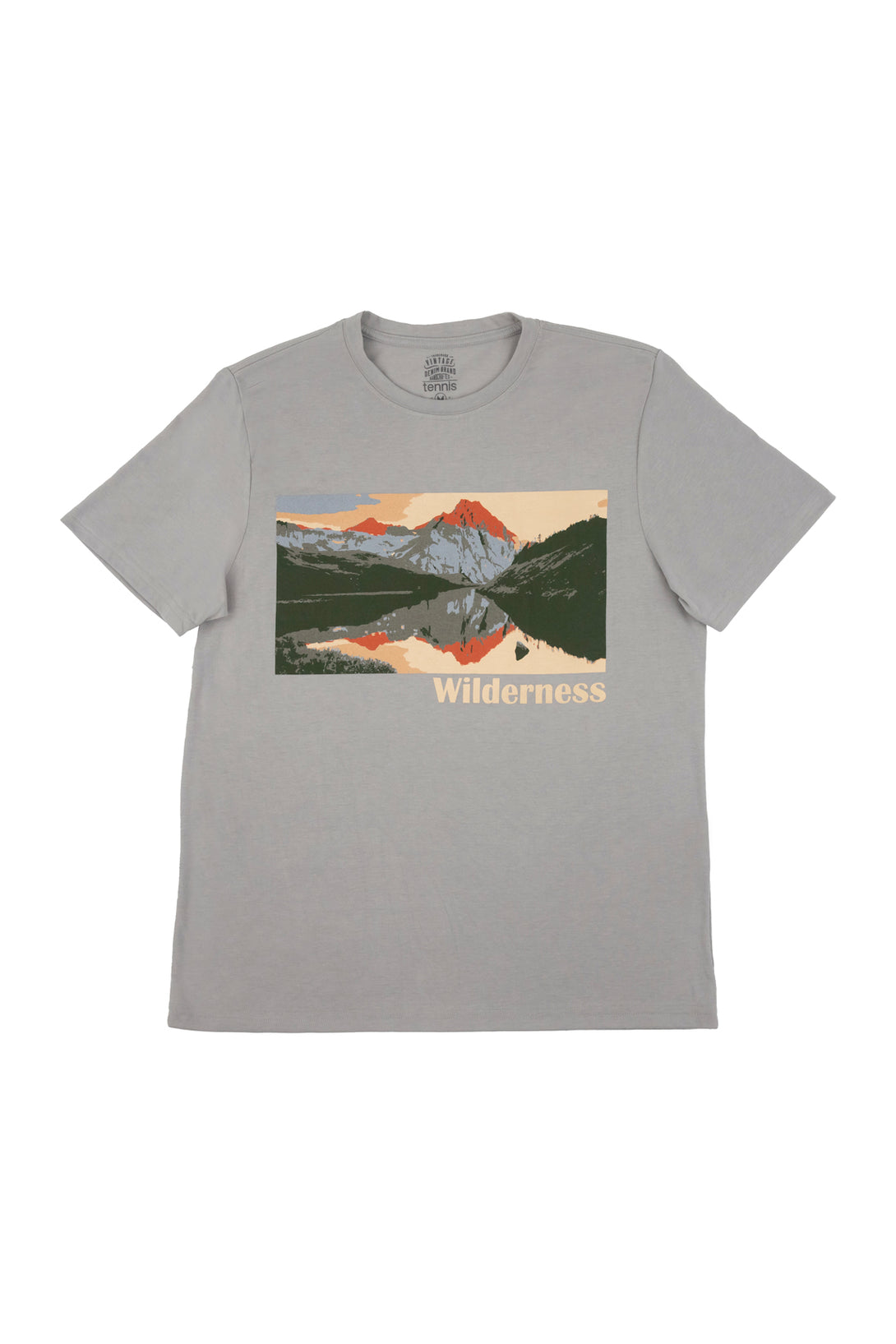 Men's Gray Printed T-Shirt