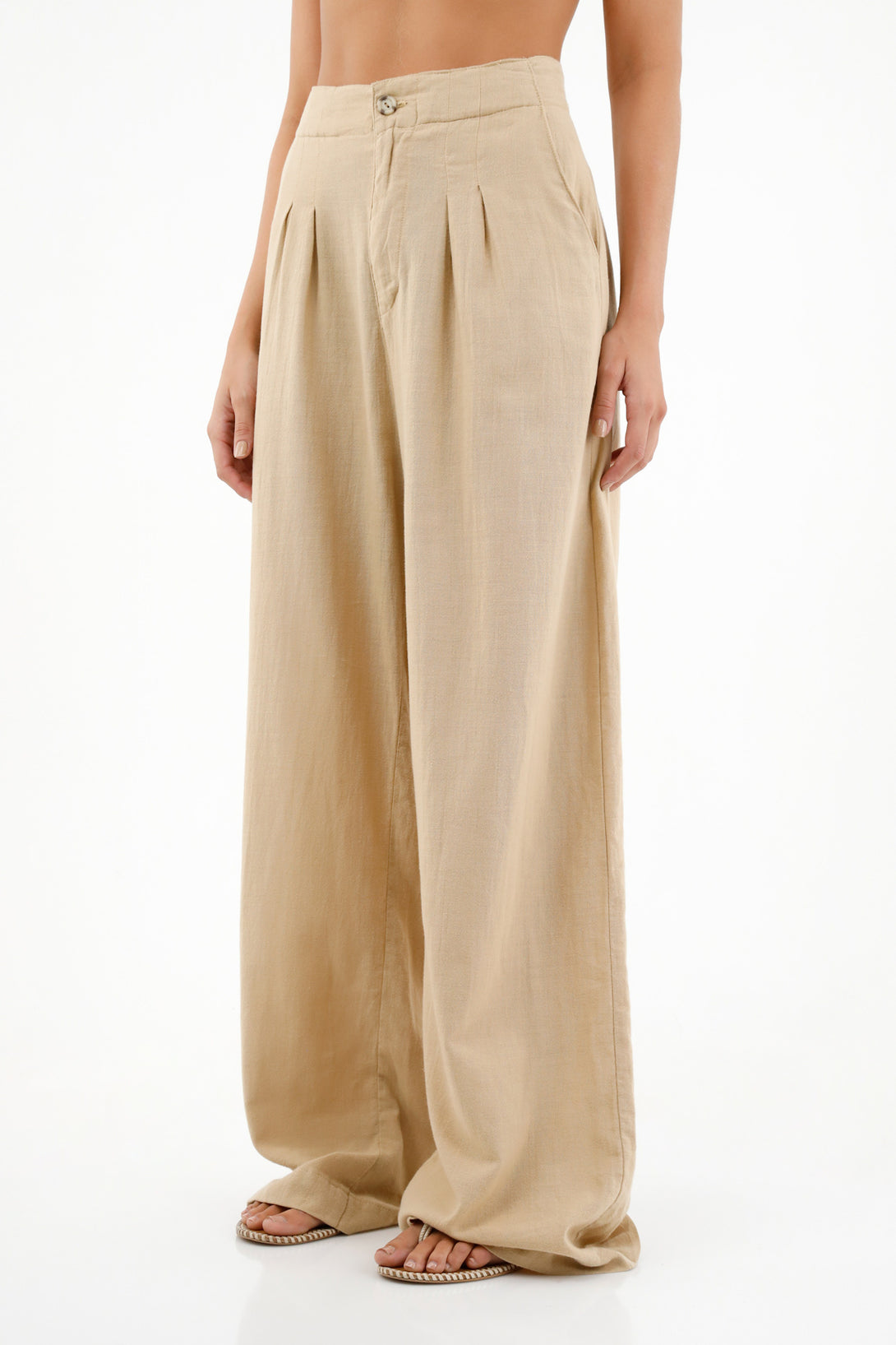 Women's Brown Pleated Pants