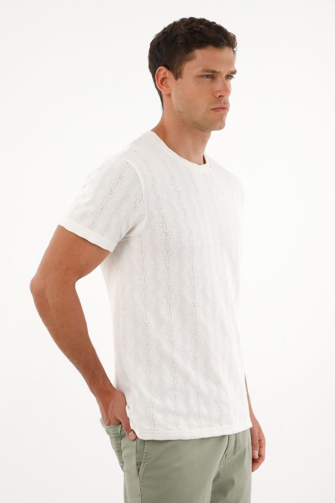 Men's regular fit cream t-shirt