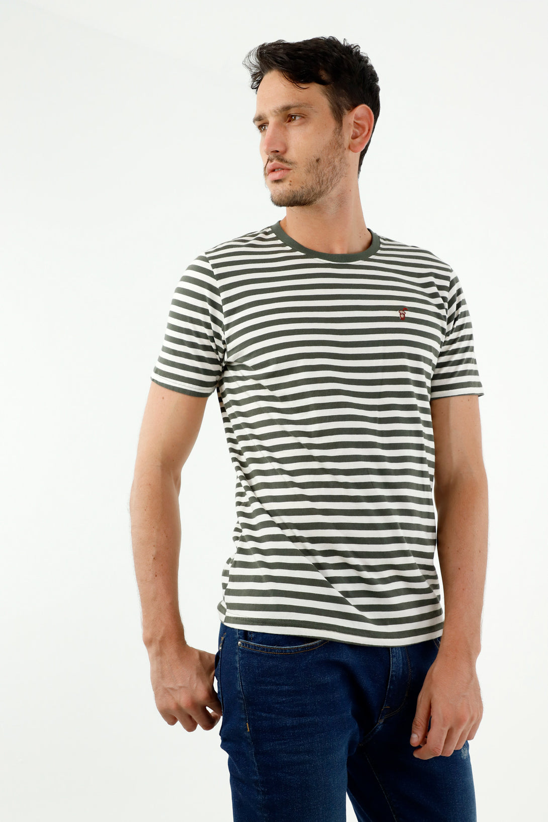 Men's Green Striped Crew Neck Short Sleeve Tee