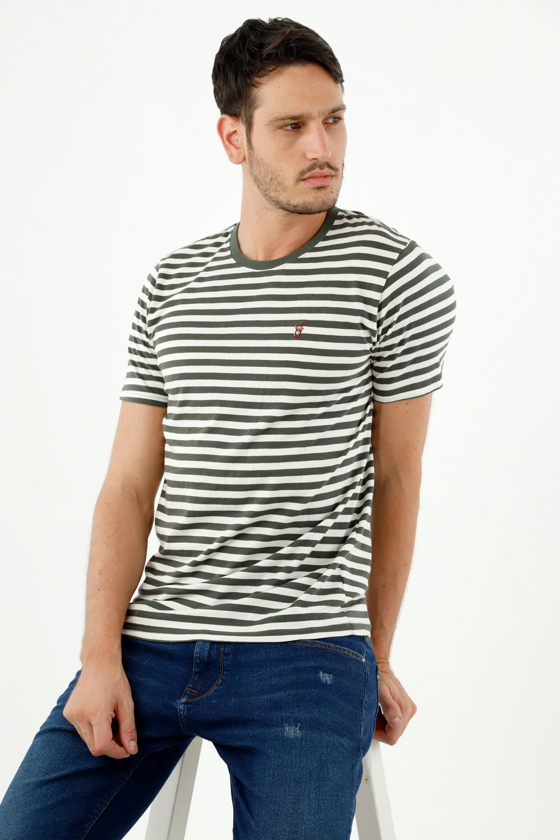 Men's Green Striped Crew Neck Short Sleeve Tee