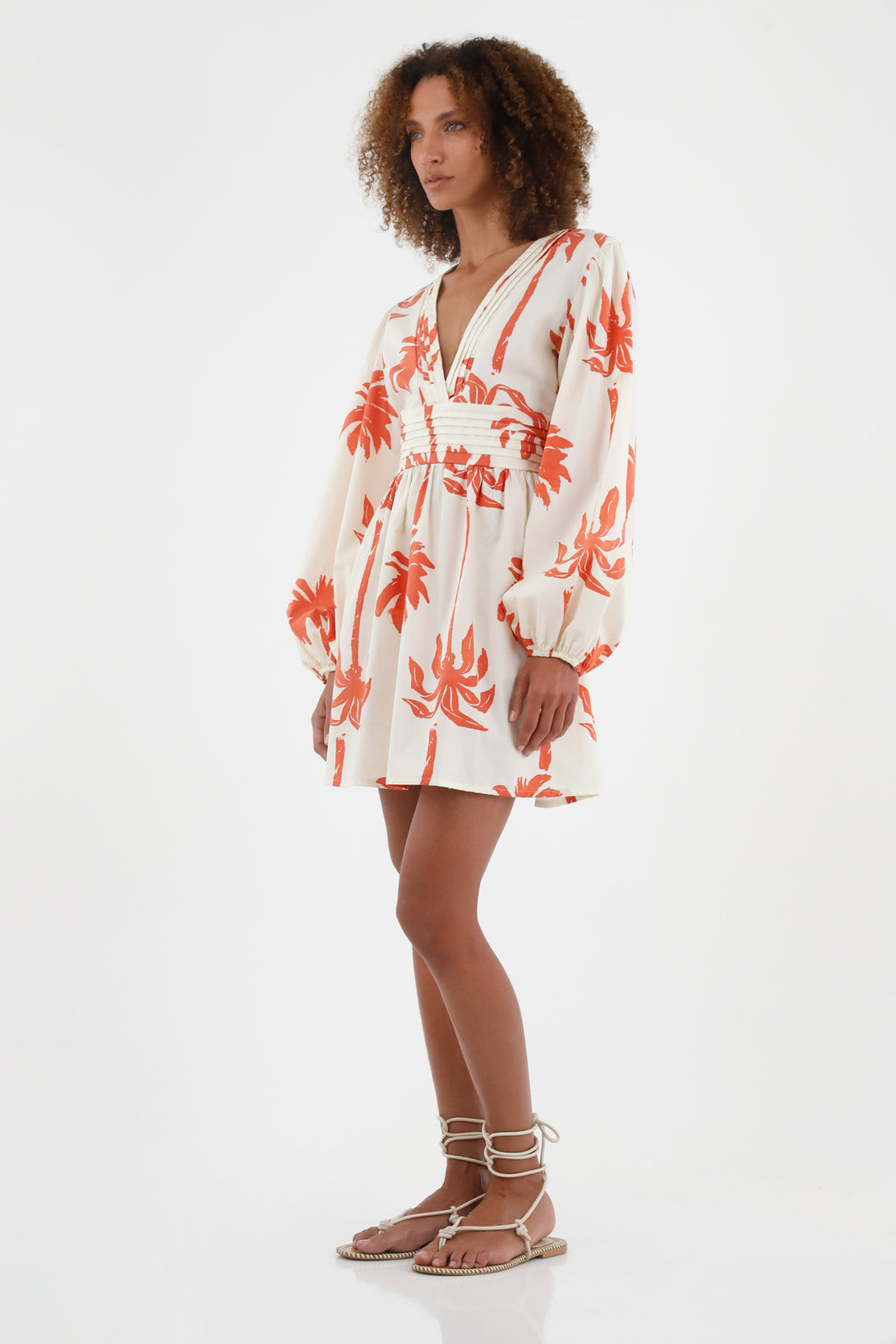 Women's Long Sleeve Printed Dress